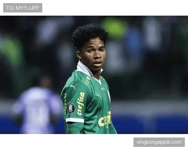 恩德里克帕尔梅拉斯早期荣誉解析