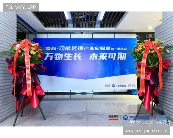 G组黑马预测最新更新